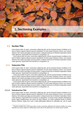 A preview of the orange-book Typst template.