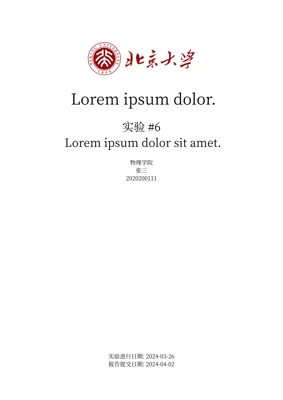 A preview of the unilab Typst template.